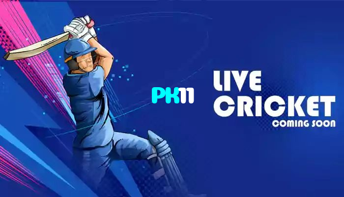 PK11 casino presented on mobile device in Pakistan with slots and live games